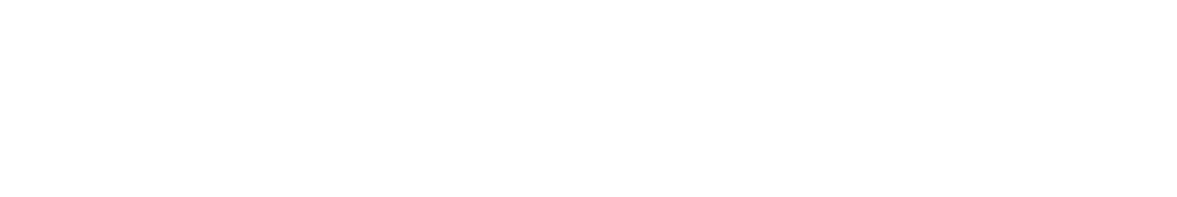 Phoenix System